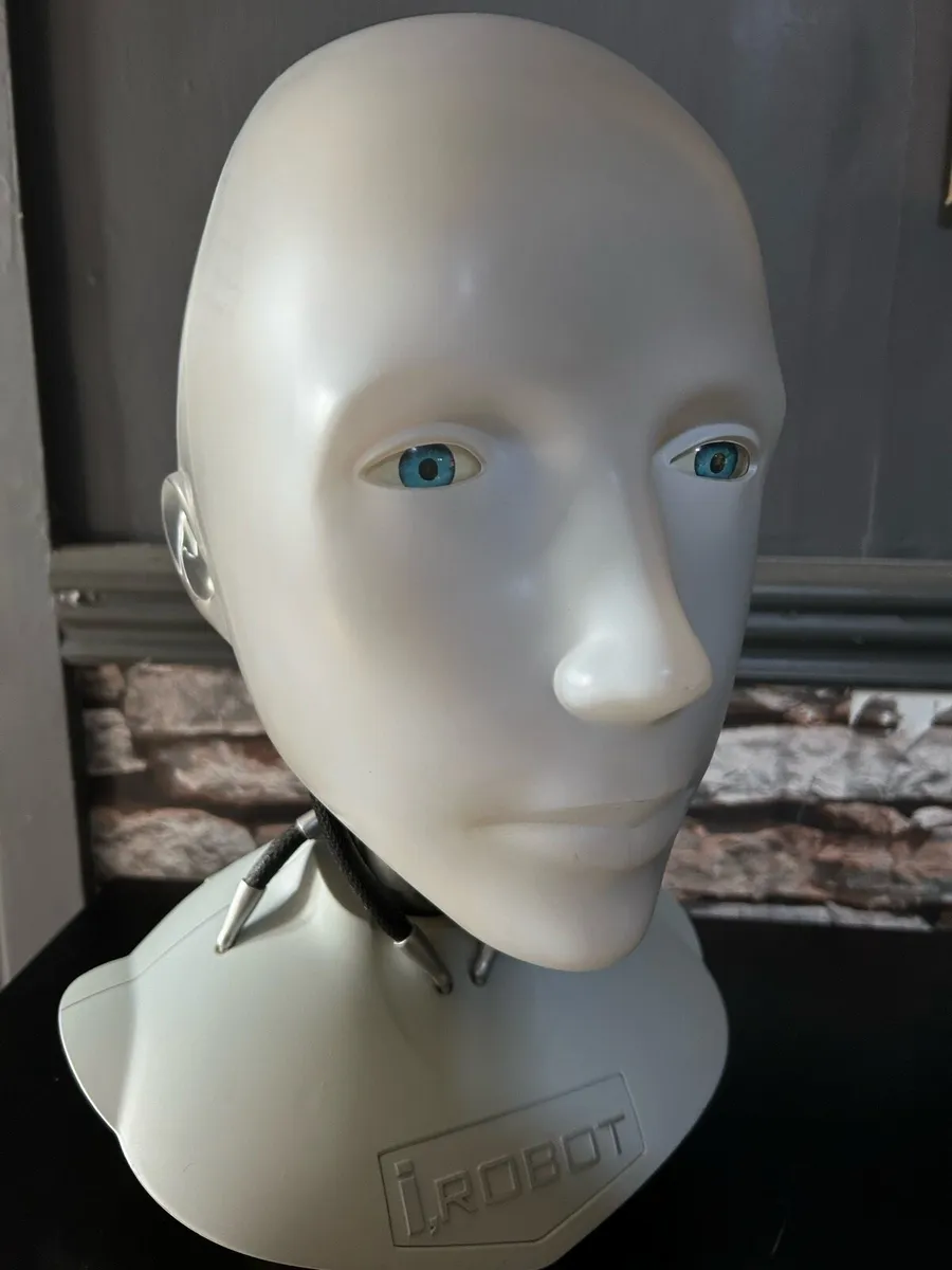 iRobot sunny - Image 2