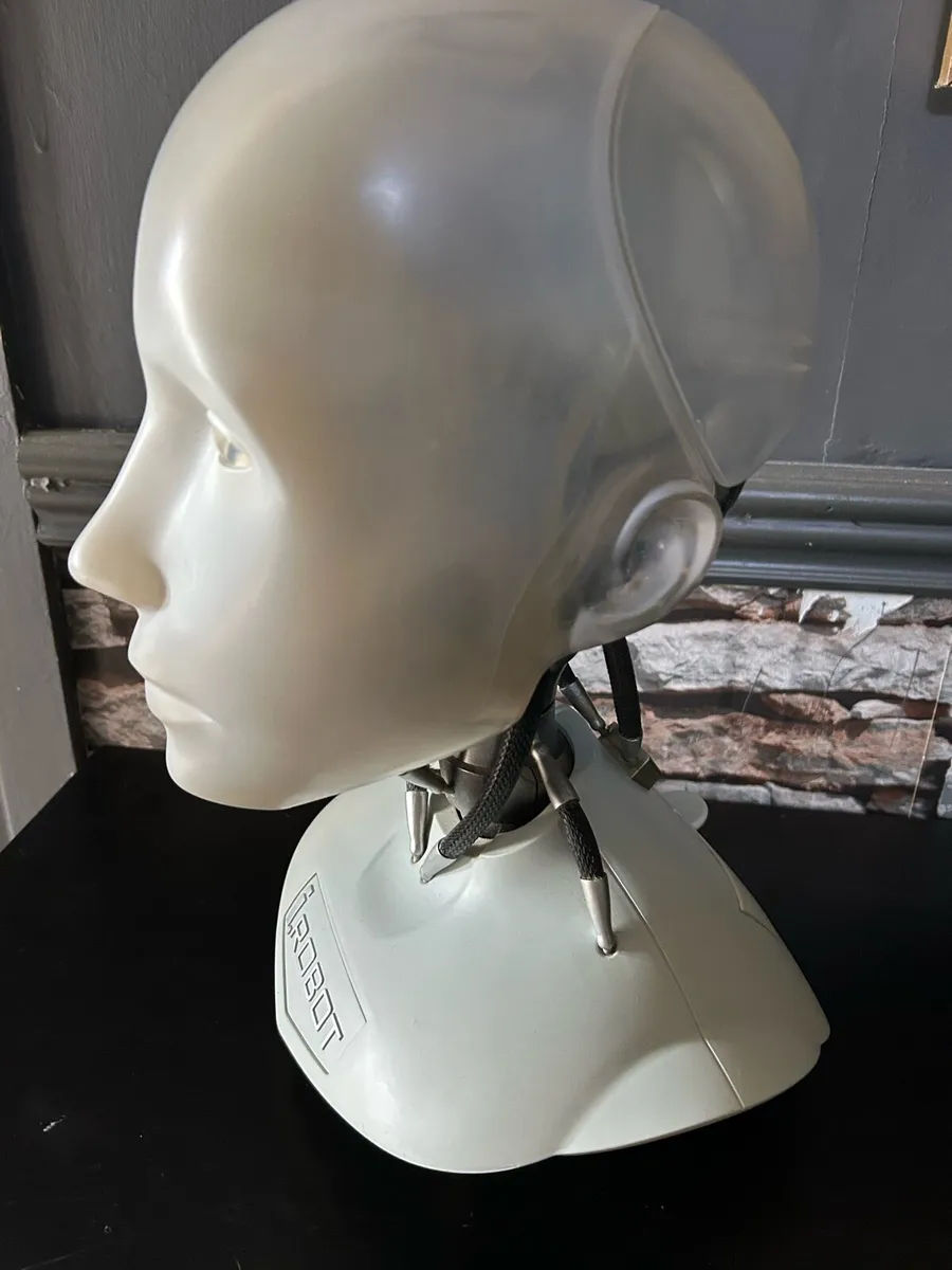 iRobot sunny - Image 4