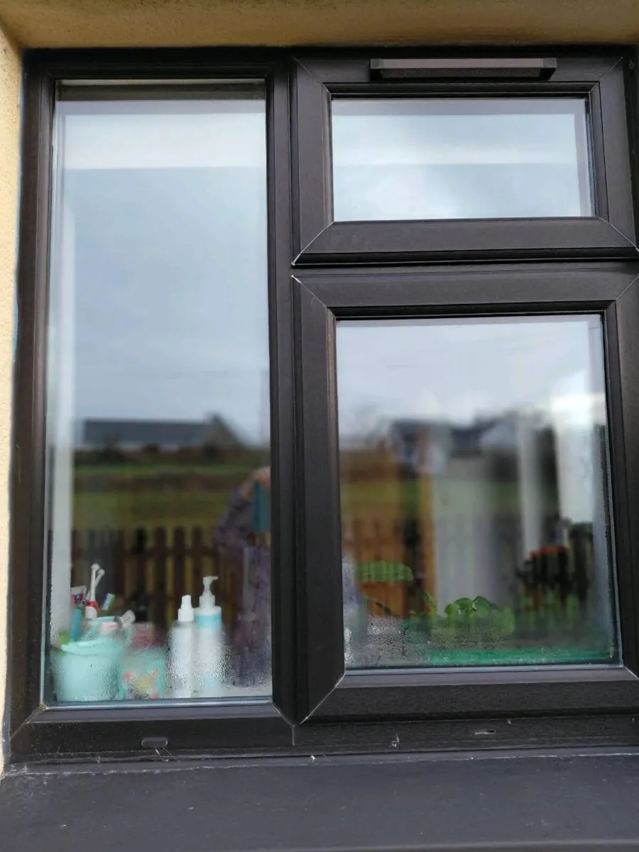 Windows & Doors - Image 3