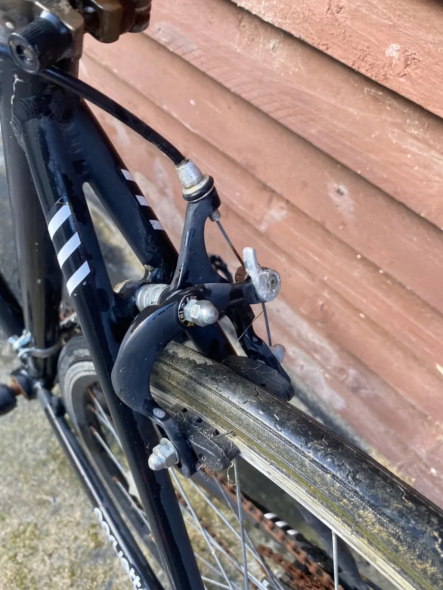 Martello racer bike - Image 4