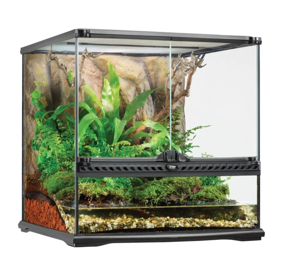 Reptile tank - Image 2