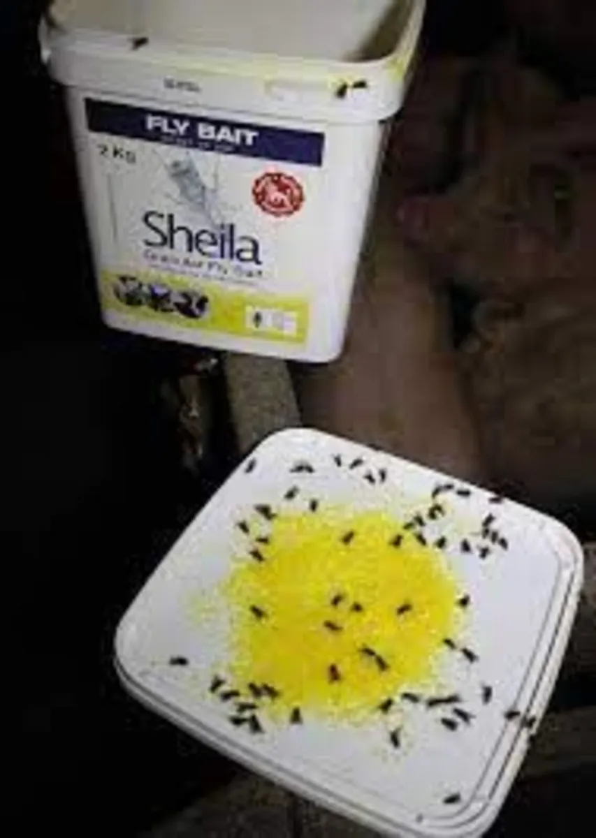 Sheila Granular Fly Bait 2Kg | Flies on Farm - Image 3