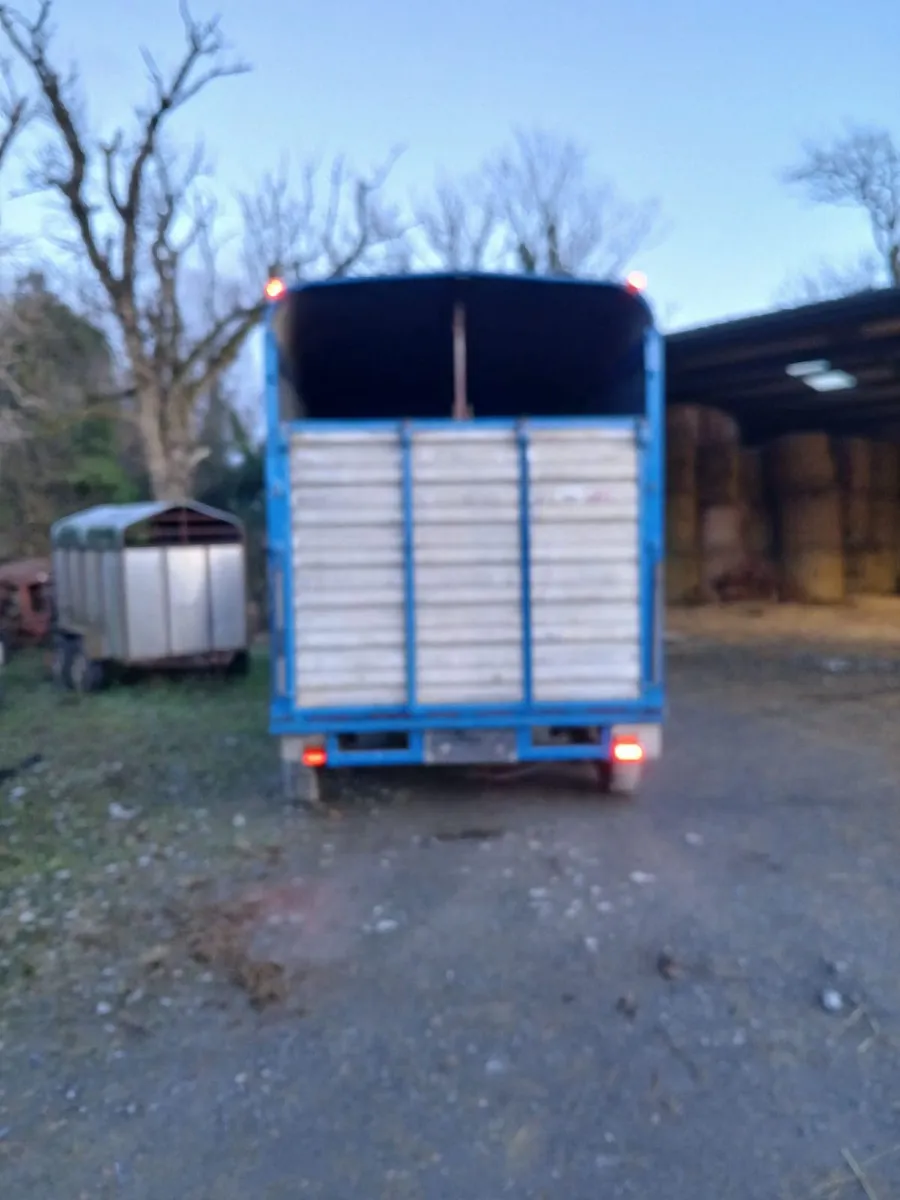 For Sale - Horse Box - Image 2