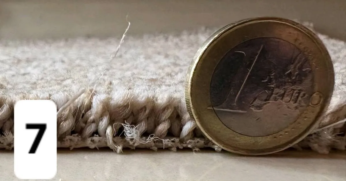 Brand new carpet - Image 2