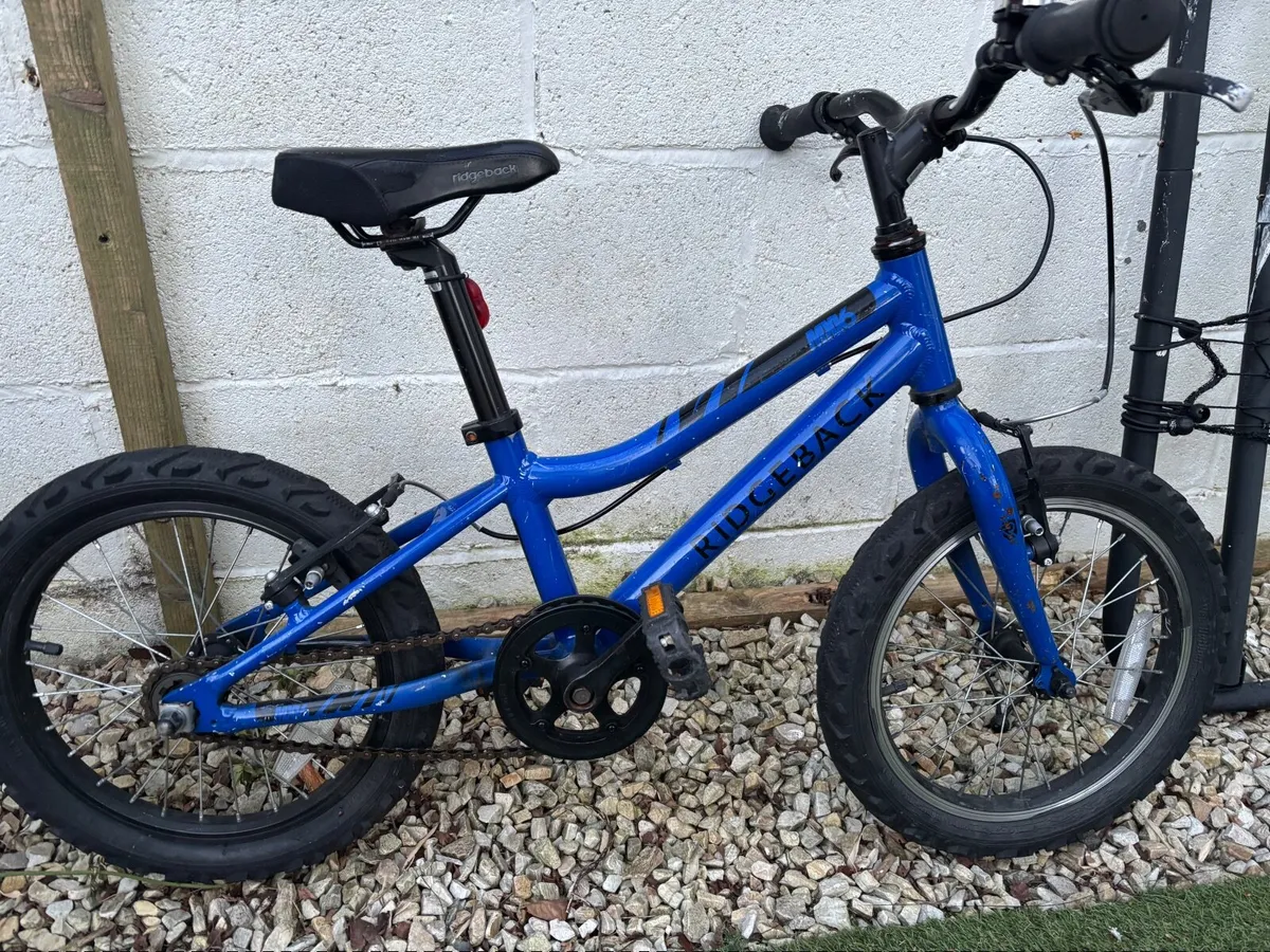 Kids Bike For Free