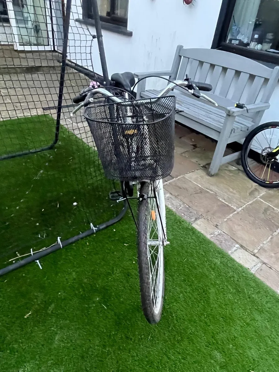 Ladies adult bike - Image 3