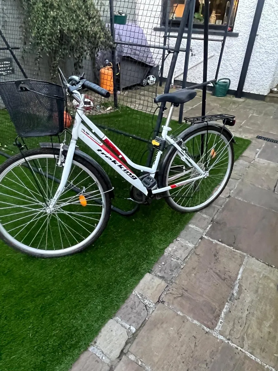 Ladies adult bike - Image 1