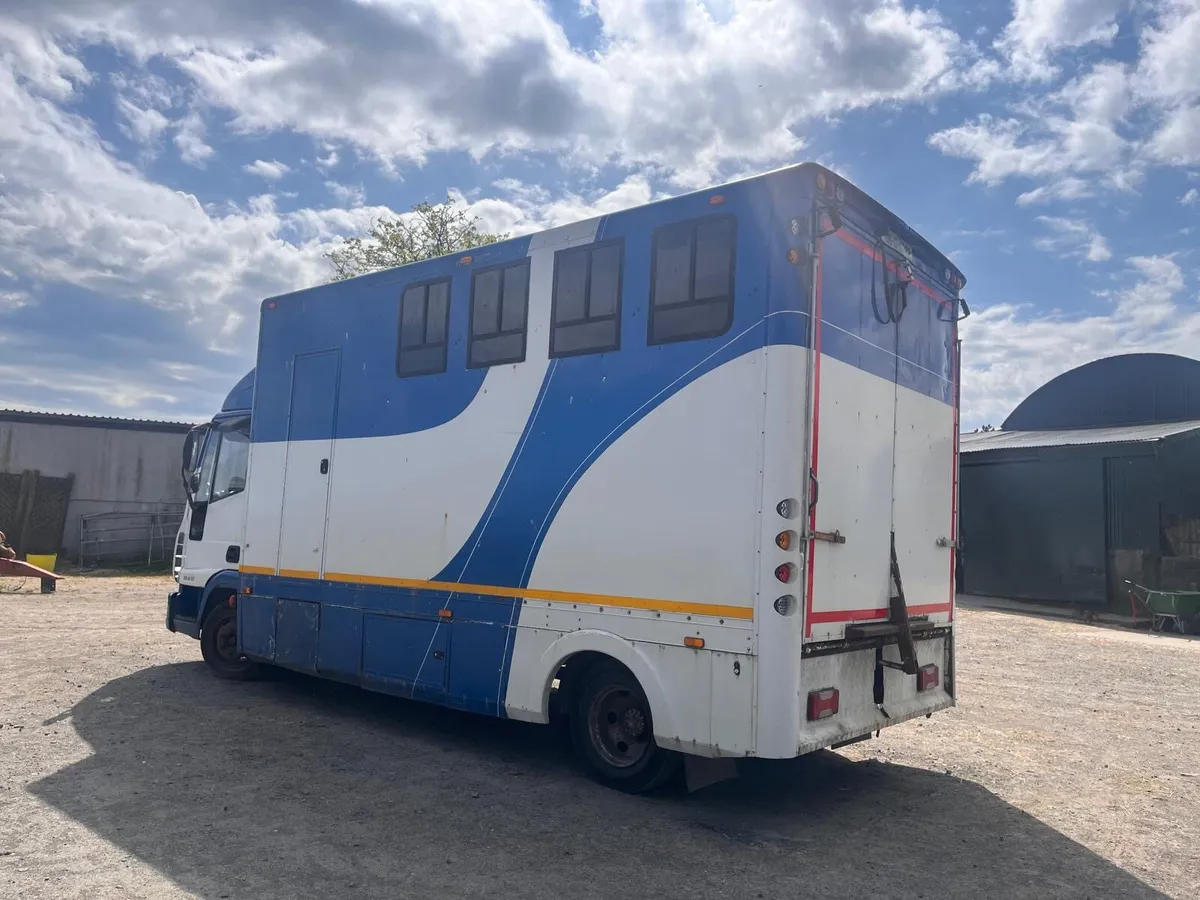 Iveco horse truck - Image 4