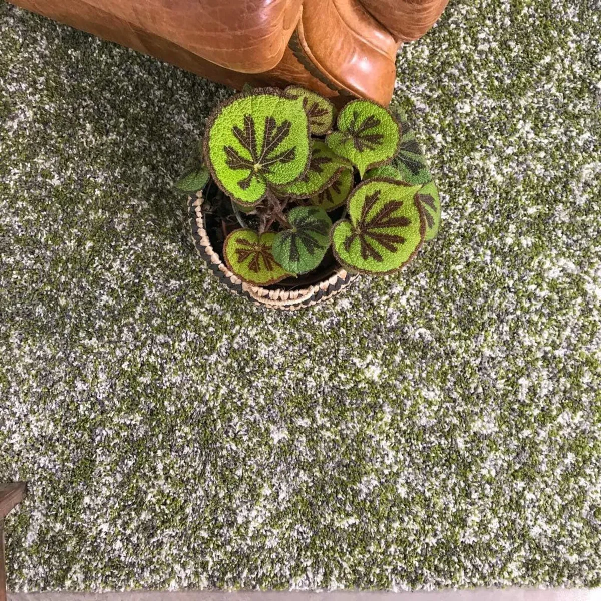 Dark Forest Green Speckled Thick Shaggy Shag Rug - Image 2