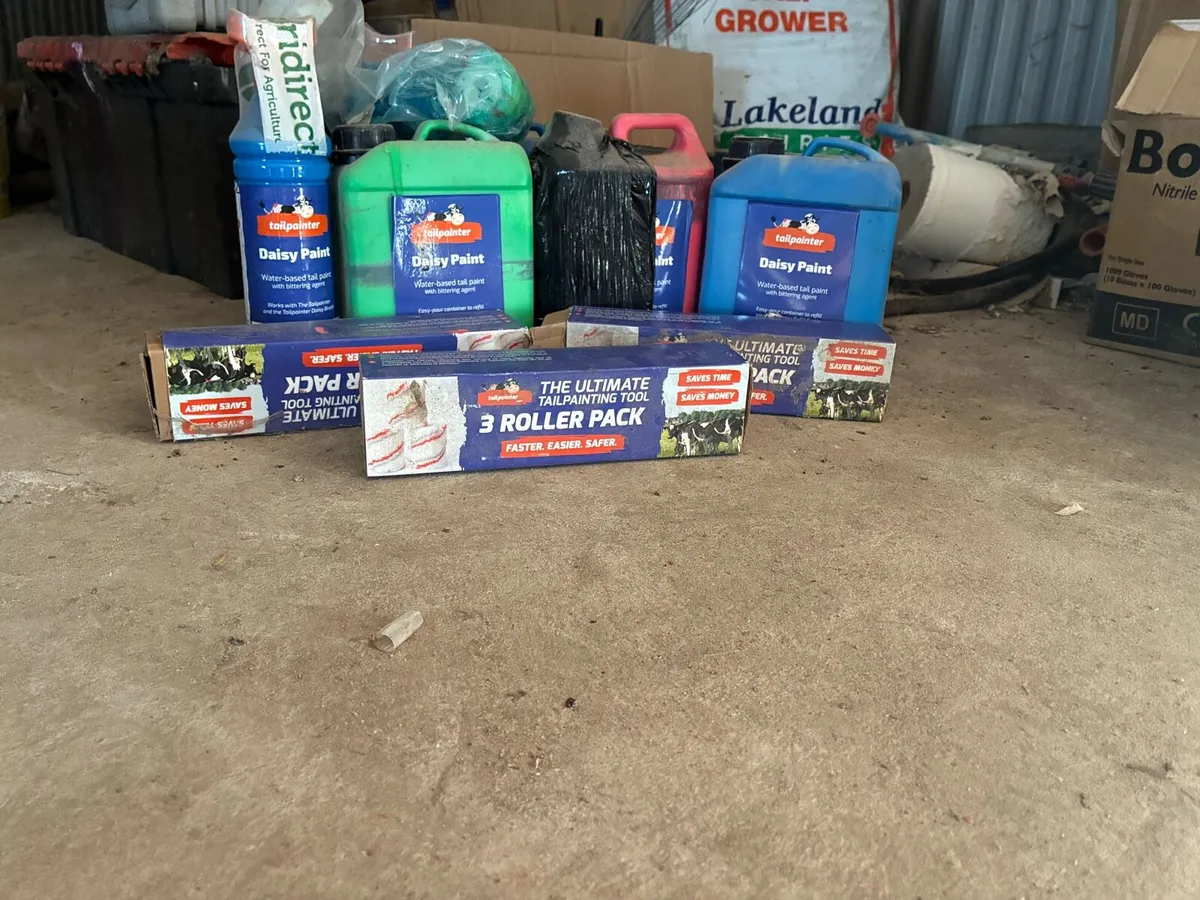 Tail paint - Image 3