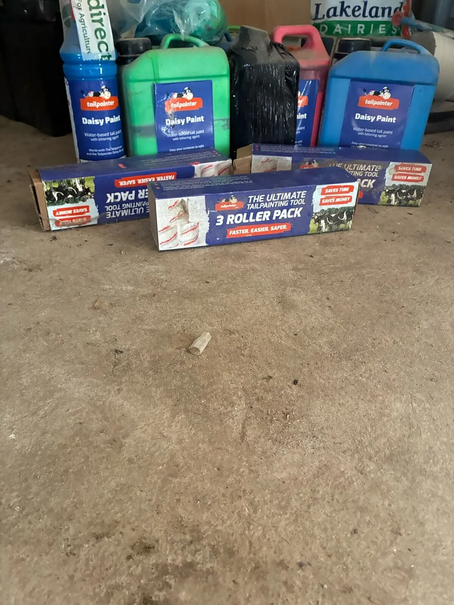 Tail paint - Image 4