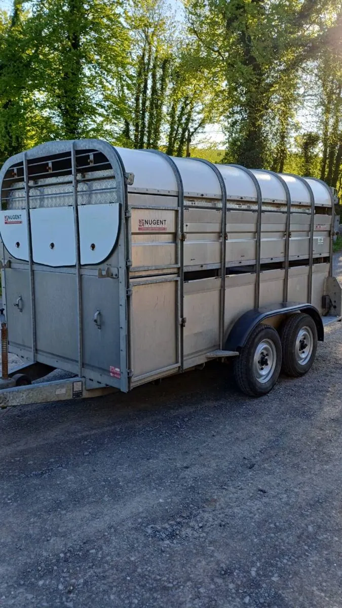Nugent 12ft with sheep decks  €6500 - Image 1