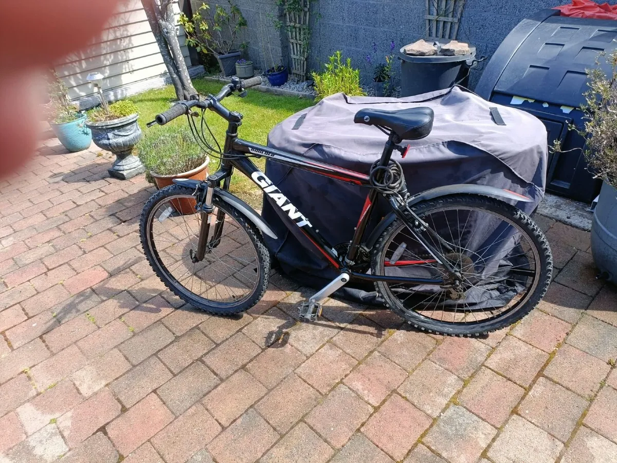 Two Bikes for sale ( sold together or separately) - Image 3