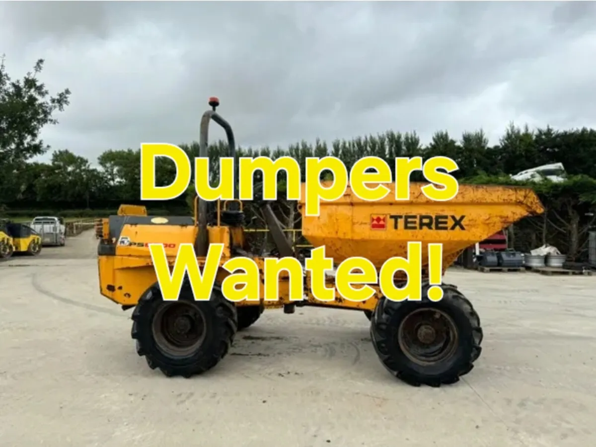 Mini Diggers Wanted!!! - Image 1