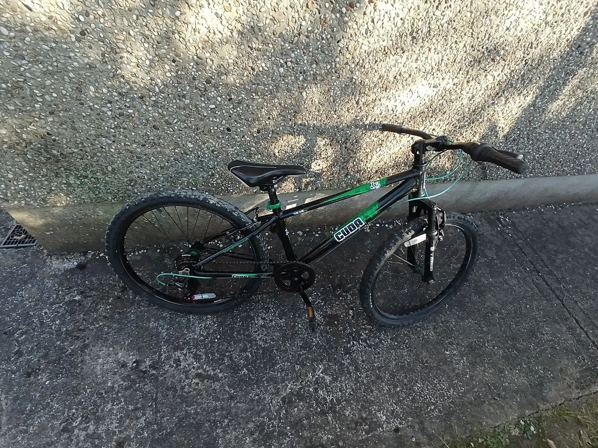 24 inch mountain bike - Image 3