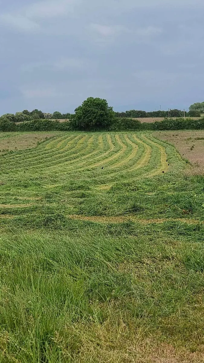 Land for silage/grazing
