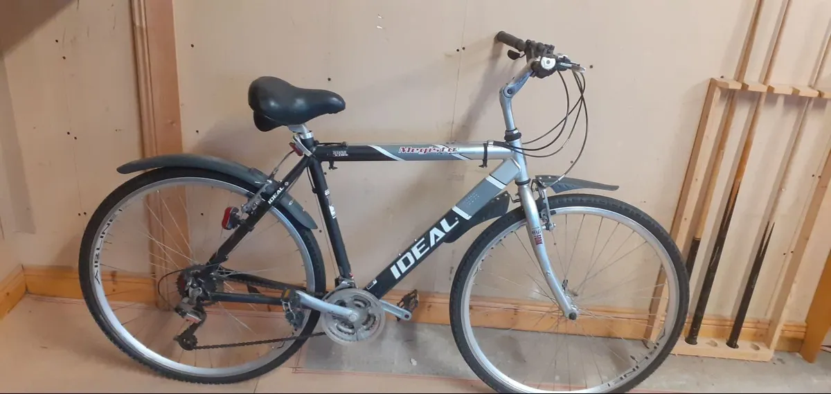 Adult bike