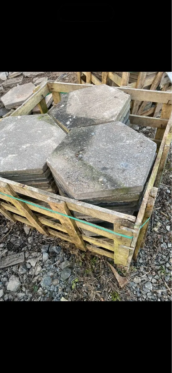Hexagon Concrete Paving Slabs - Image 1