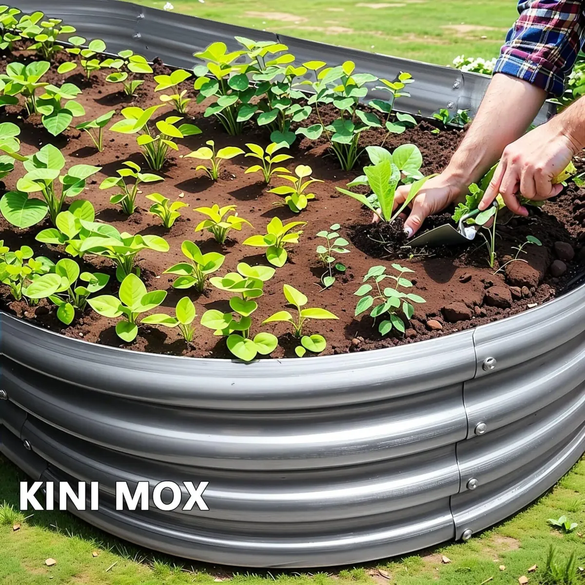 2Pcs Raised Garden Bed 6x3x1 FT Galvanized Boxes - Image 4