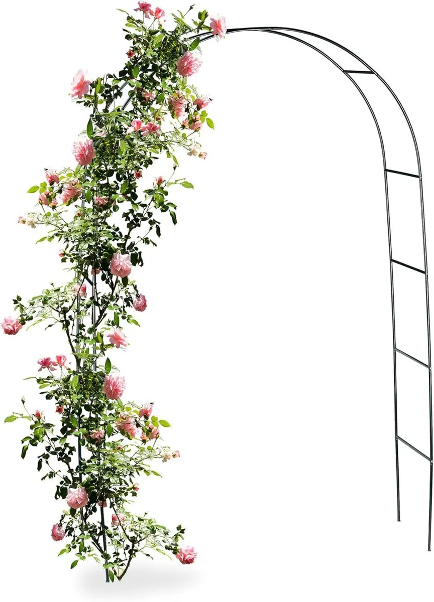 6x Metal Rose Arch Growth Support for Climbing - Image 1