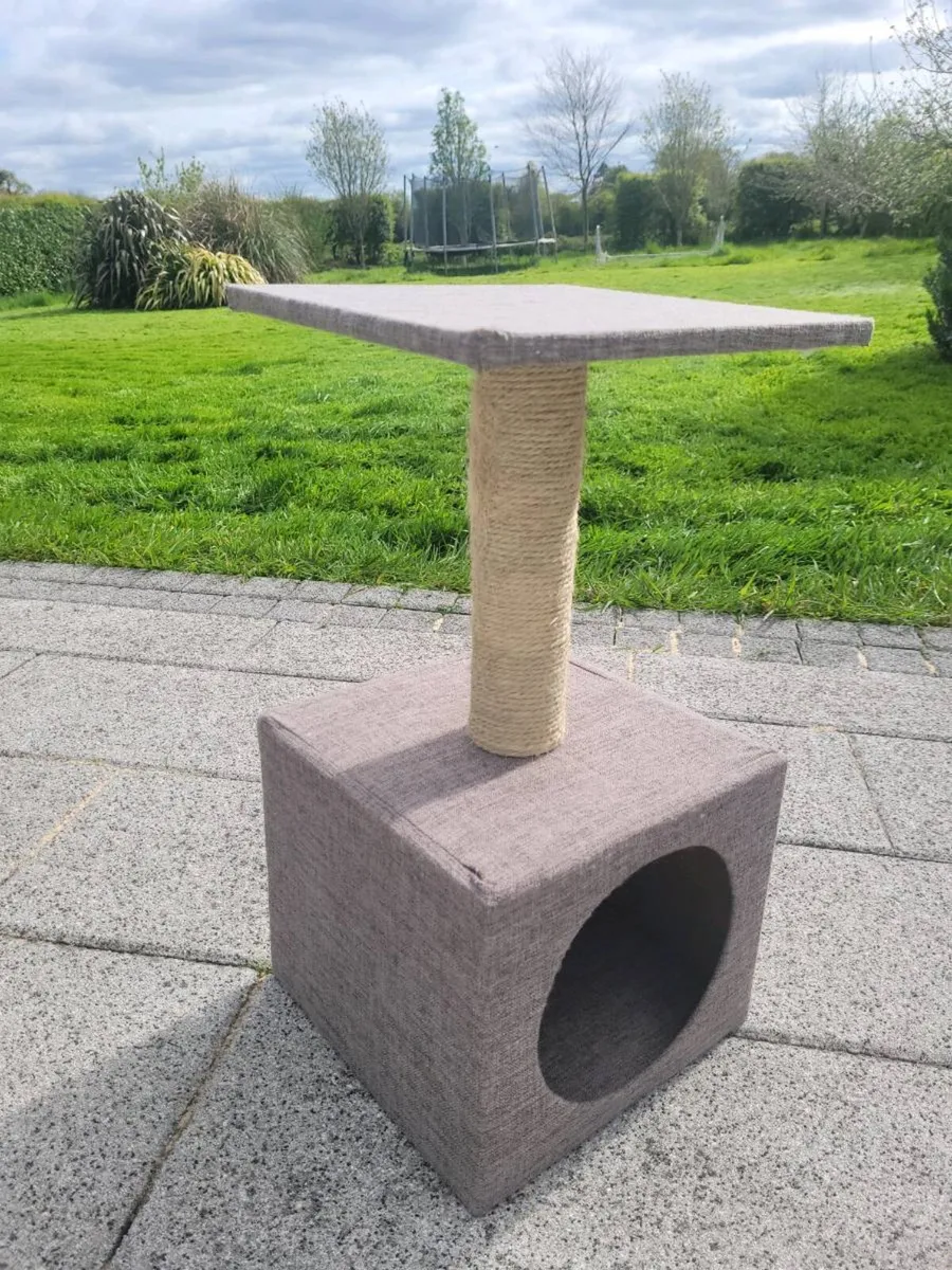 Free cat scratcher that your cat will refuse to us - Image 1