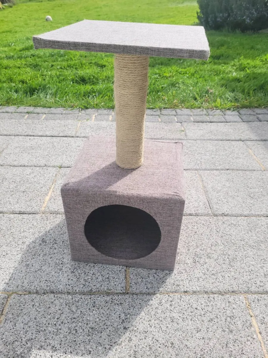 Free cat scratcher that your cat will refuse to us - Image 2
