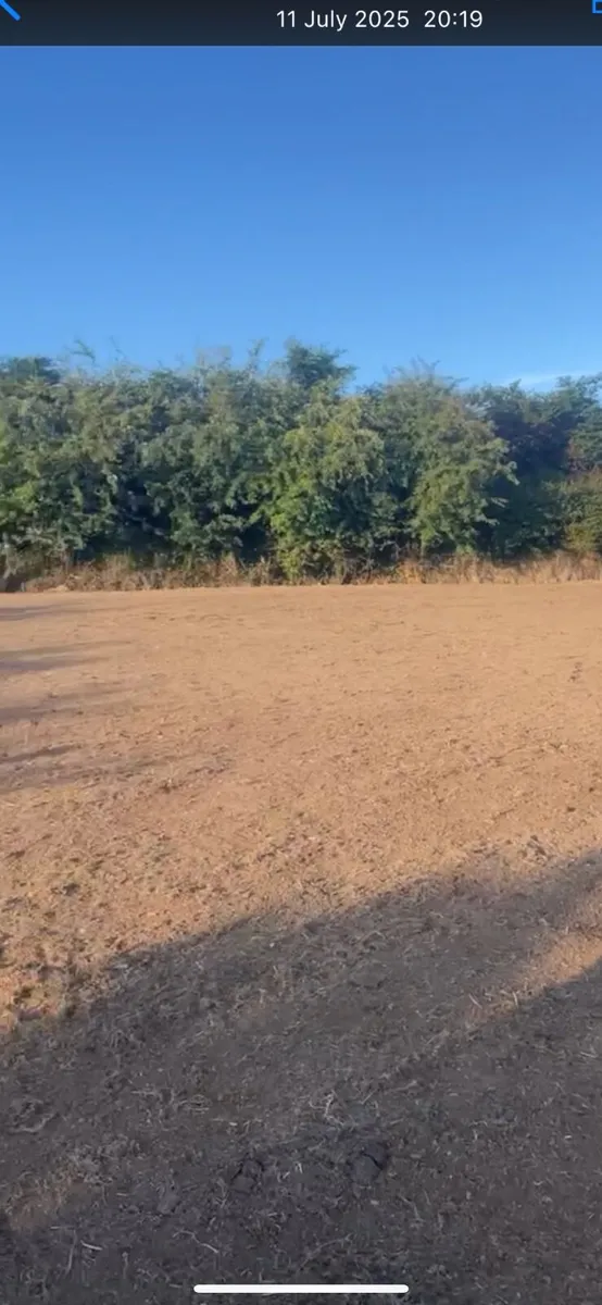 Weed spraying hedge strimming powerwashing - Image 4