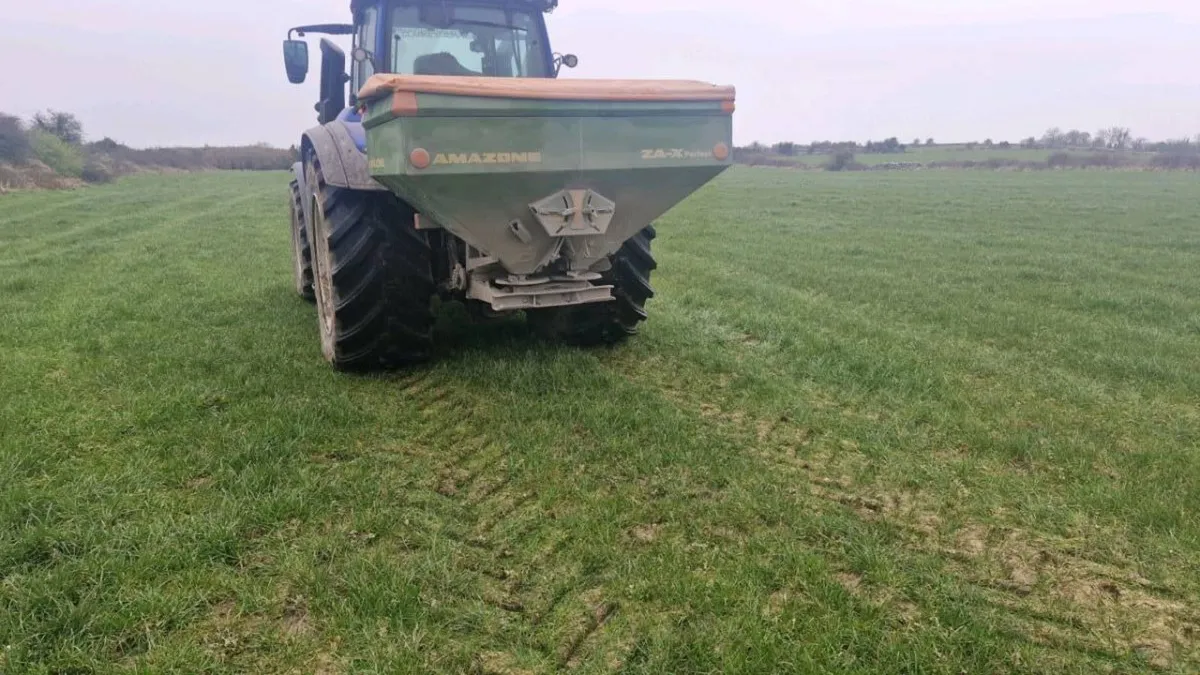 Amazone zax - Image 1