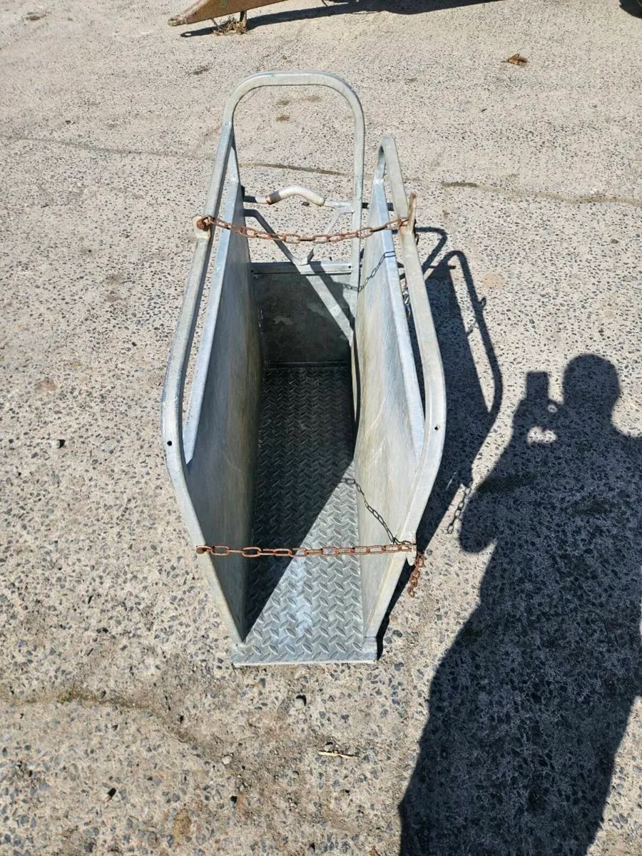 Calf Dehorning crate - Image 1