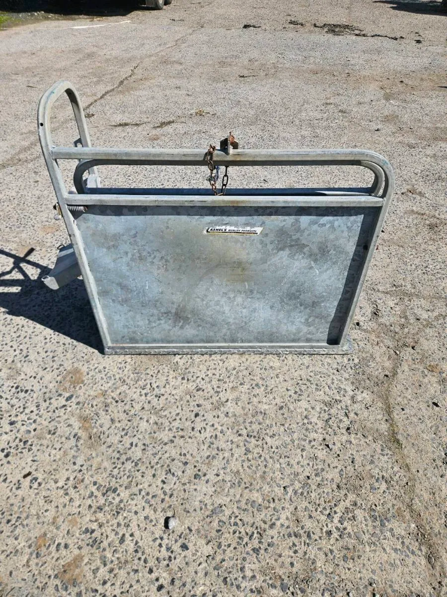 Calf Dehorning crate - Image 2