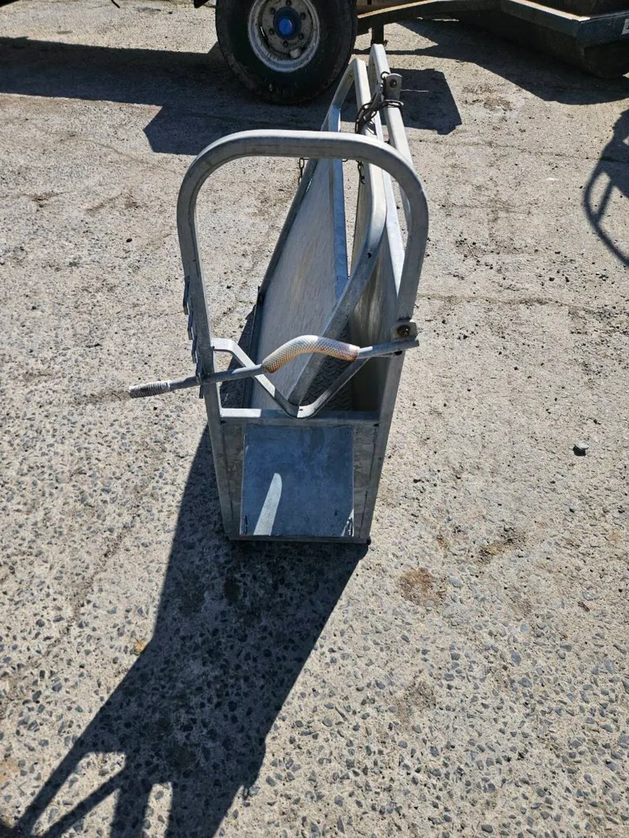Calf Dehorning crate - Image 3