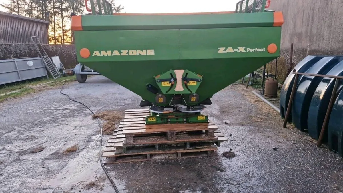 Amazone zax - Image 3