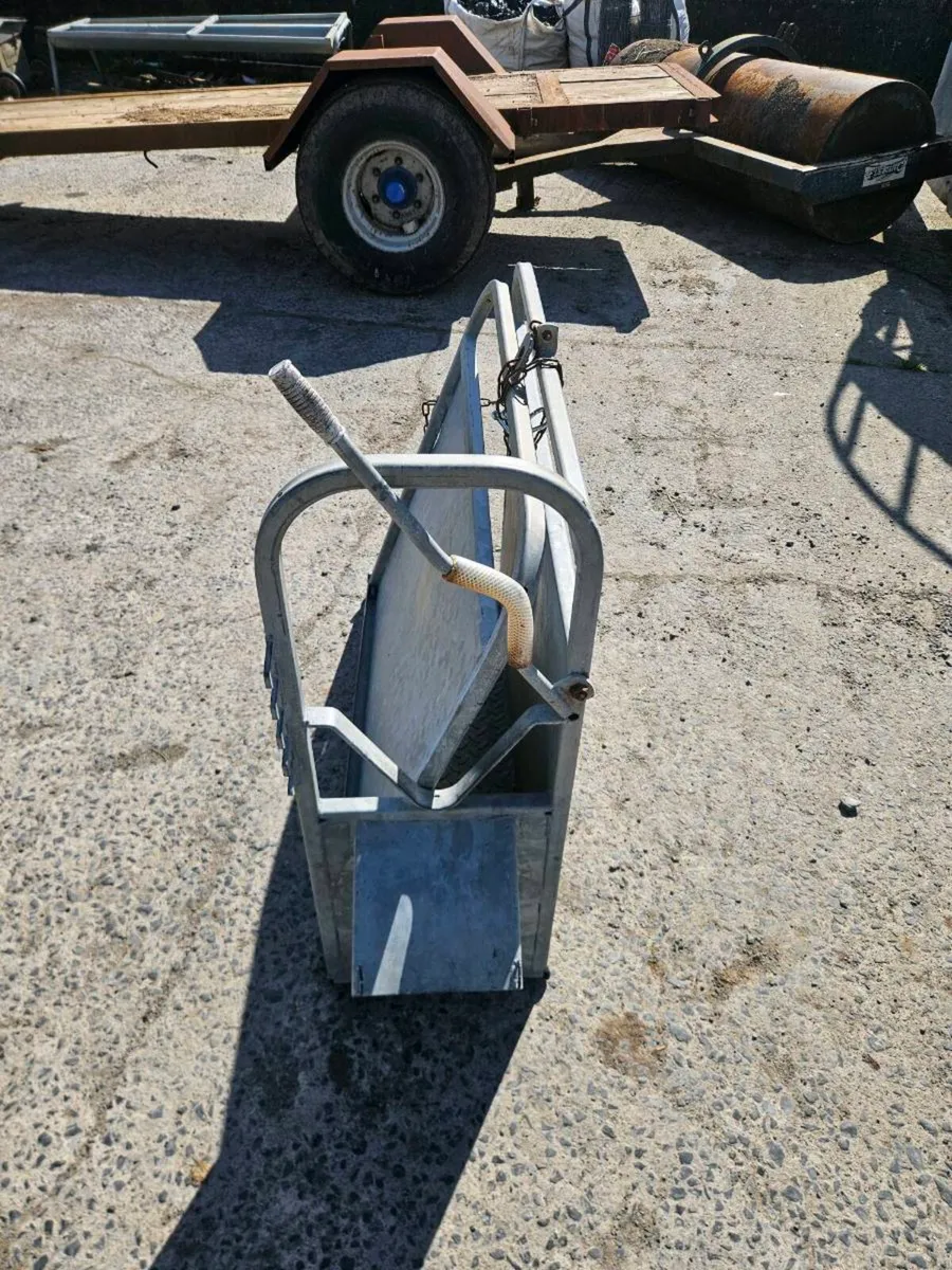 Calf Dehorning crate - Image 4