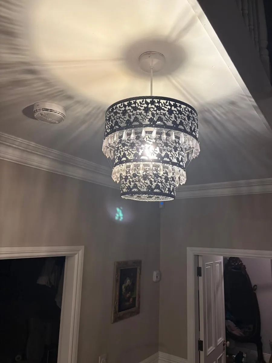 Light - Image 2