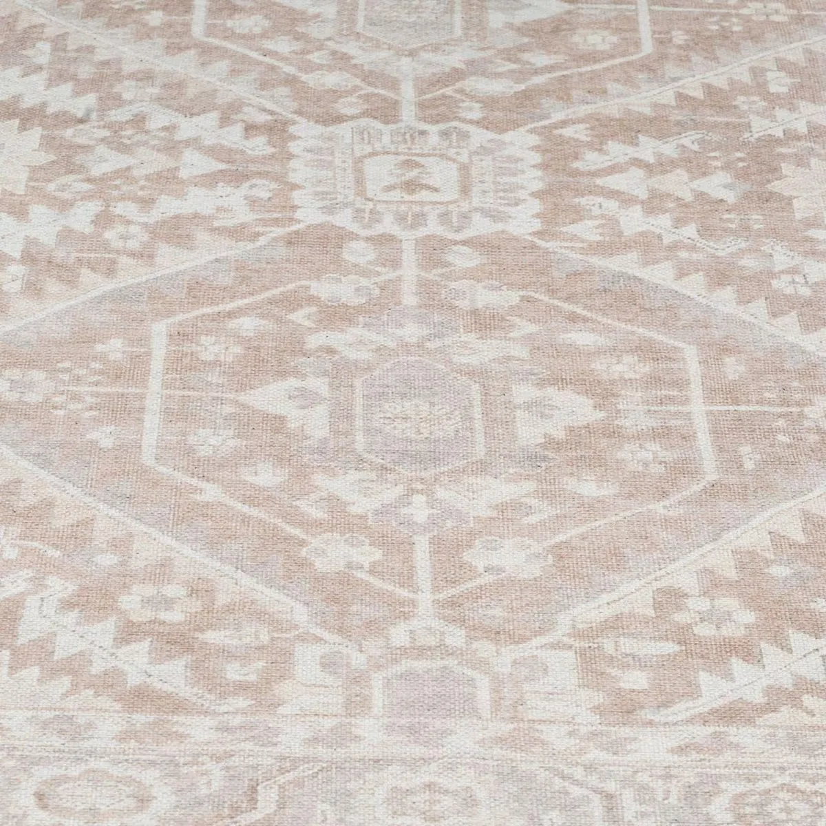 Traditional Neutral Beige Medallion Living Room - Image 4