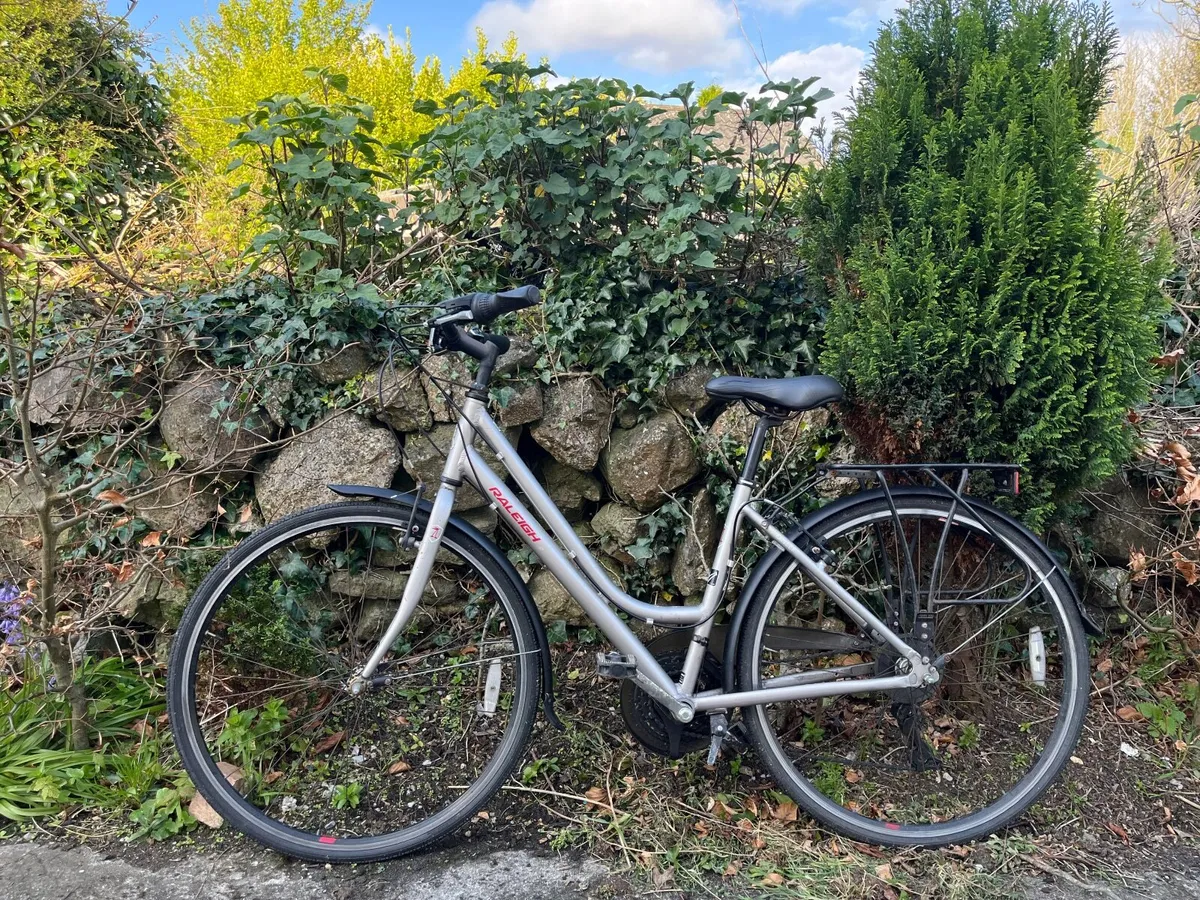 Raleigh Bicycle - Image 1