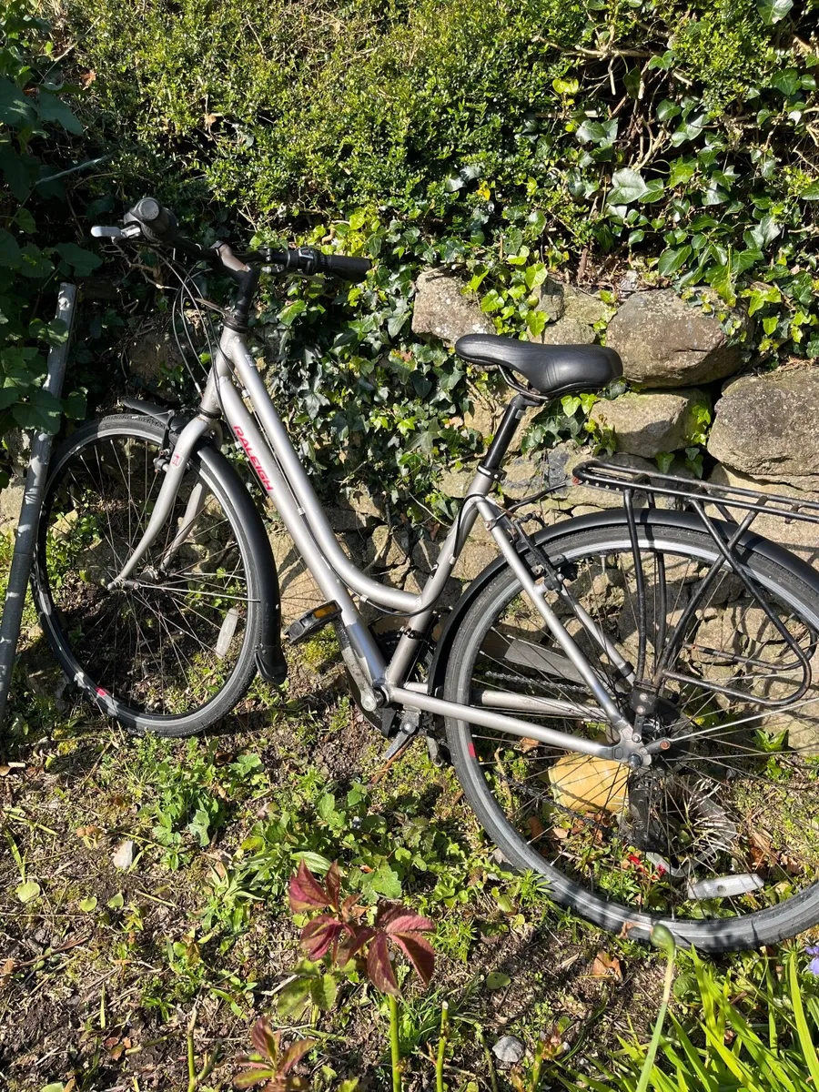 Raleigh Bicycle - Image 4