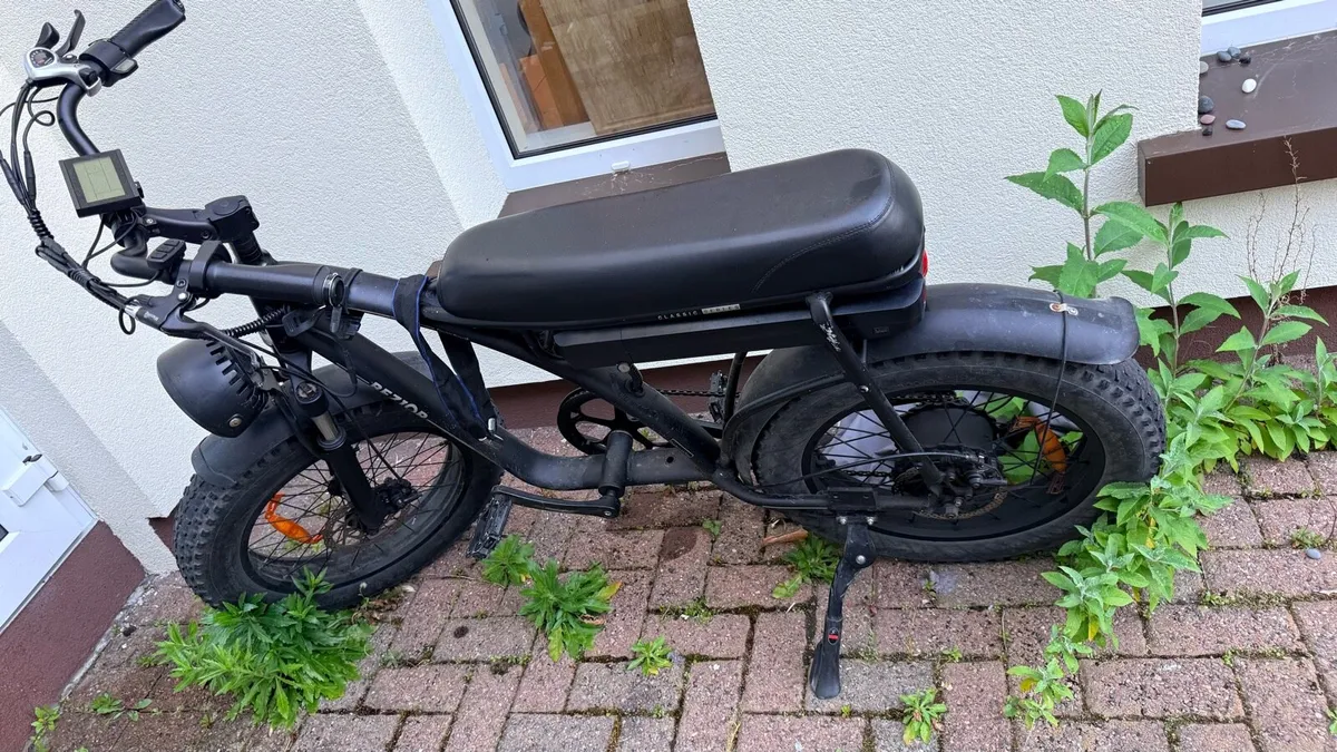 Electric bicycle - Image 1