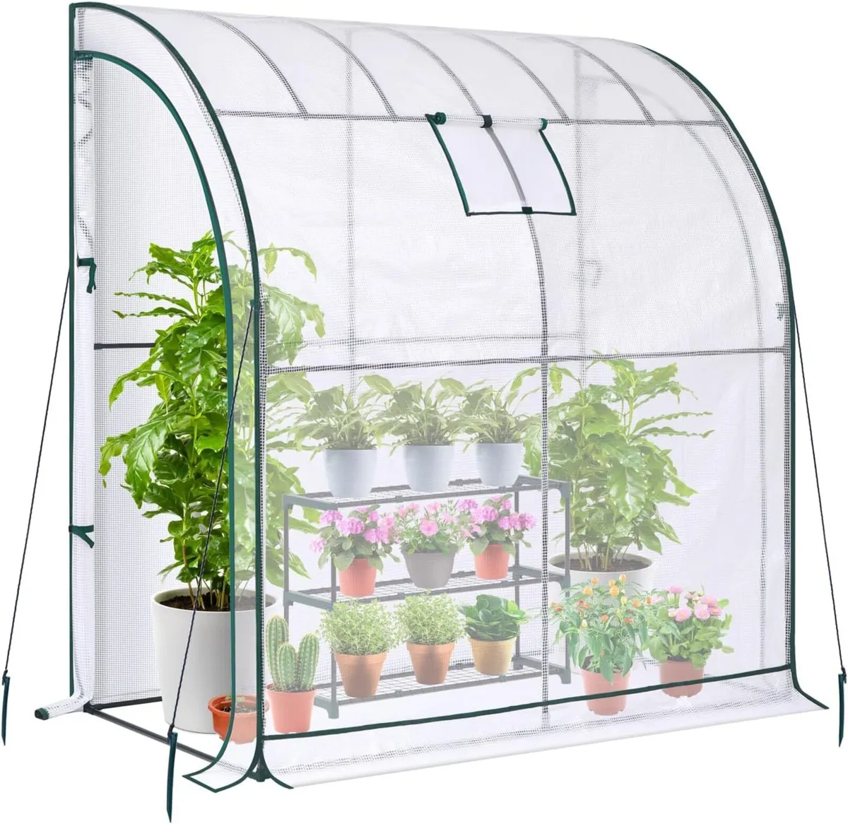 Lean to Greenhouse with Free Shelving unit - Image 1