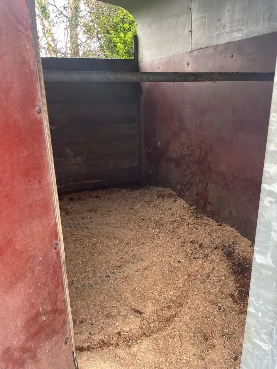 Horse box - Image 4