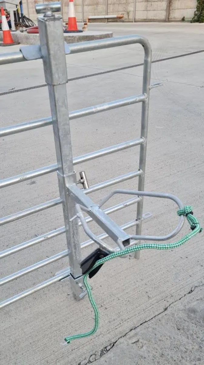 Head Yoke, Sheep Head holder - Image 4