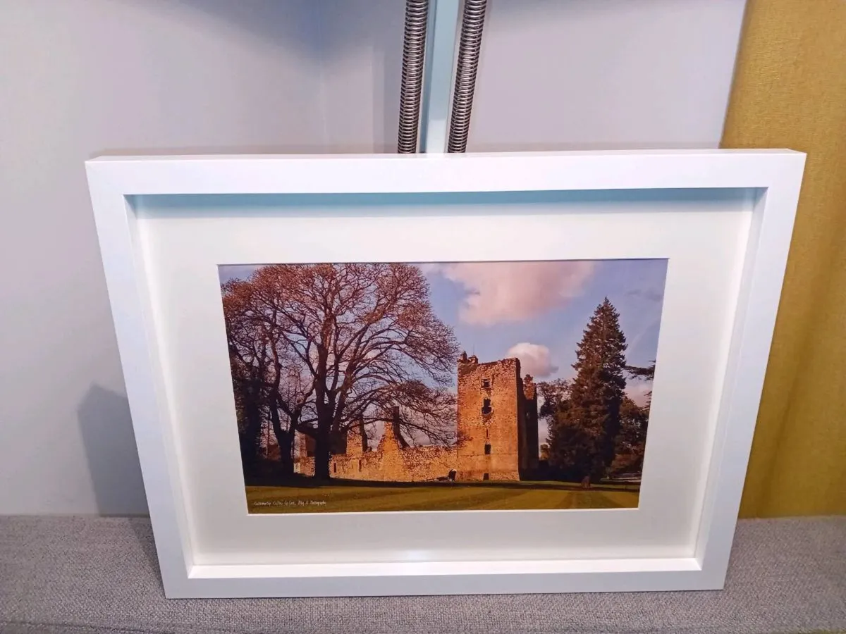Castlemartyr Castle And Gardens - Image 3