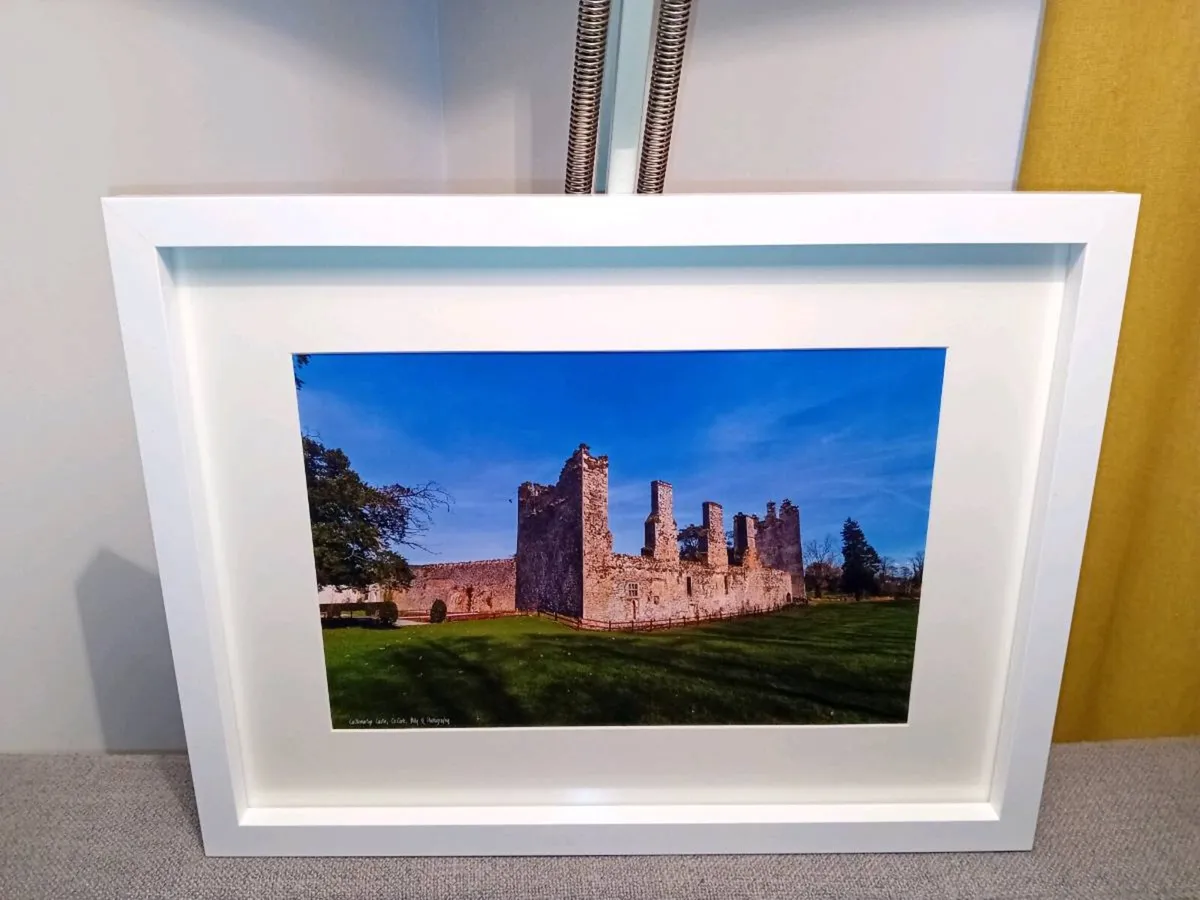 Castlemartyr Castle And Gardens - Image 4
