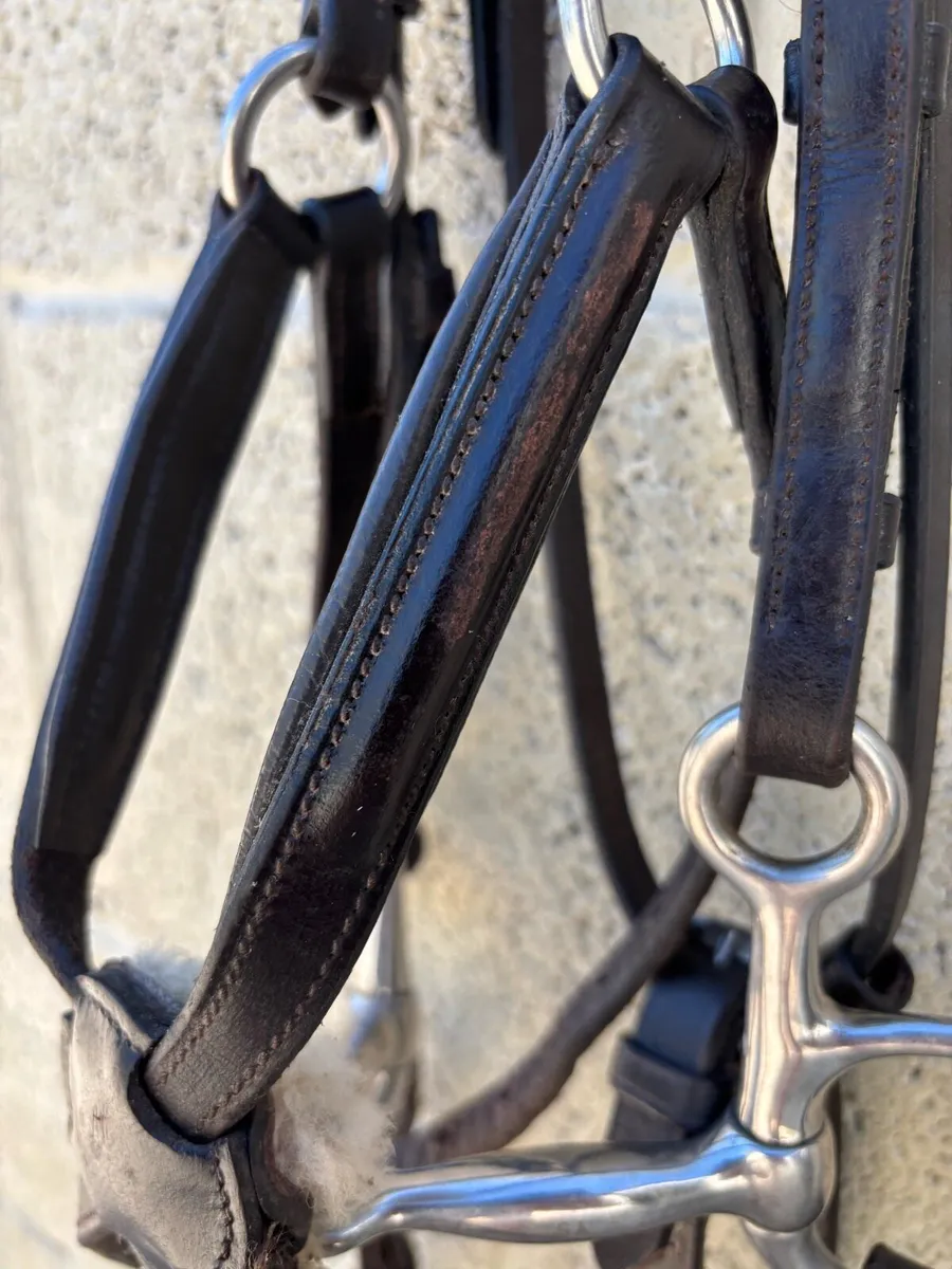 SHOWJUMPING LEATHER PONY BRIDLE - Image 3