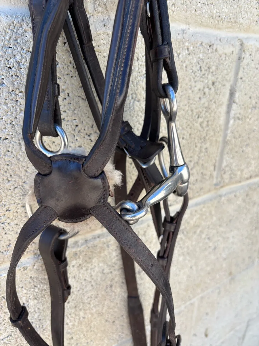 SHOWJUMPING LEATHER PONY BRIDLE - Image 1
