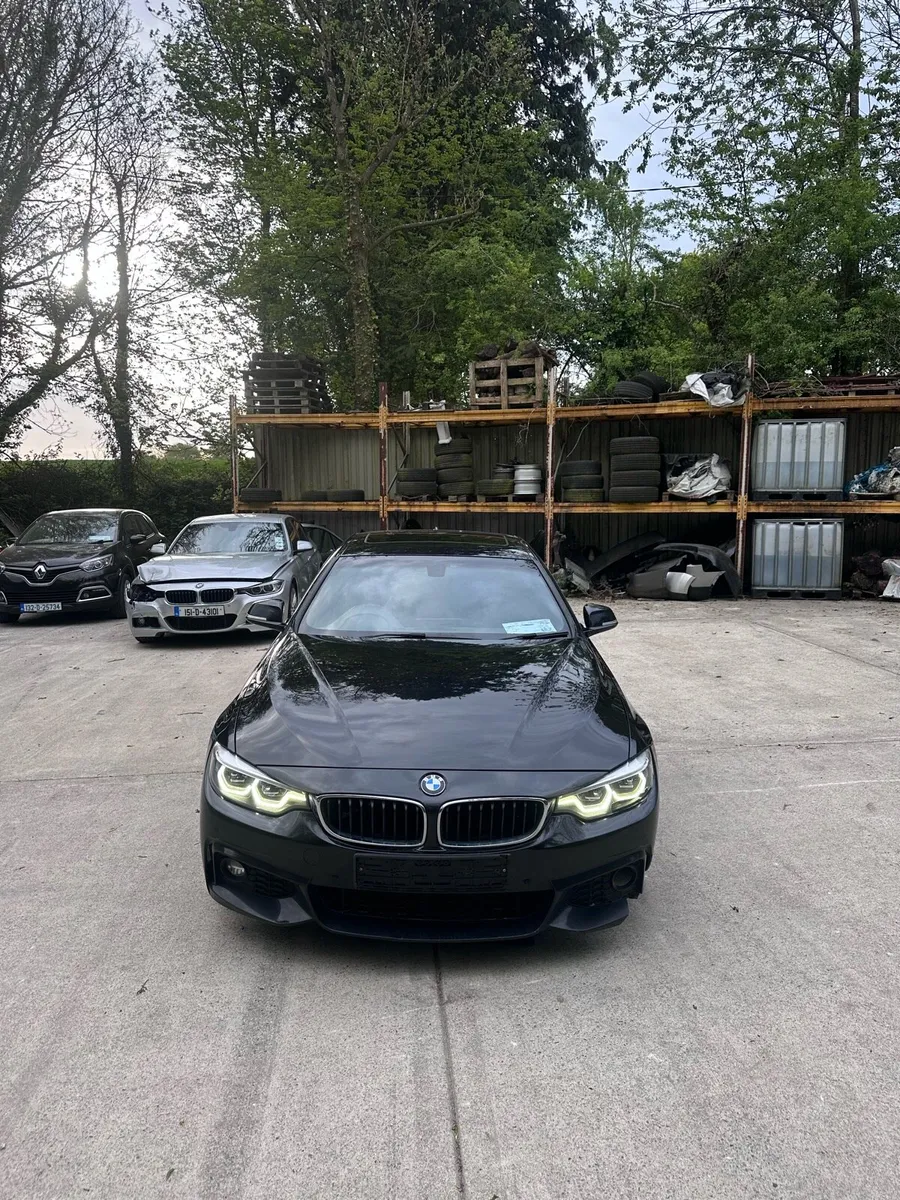 2019 BMW 420d M-Sport - Image 2
