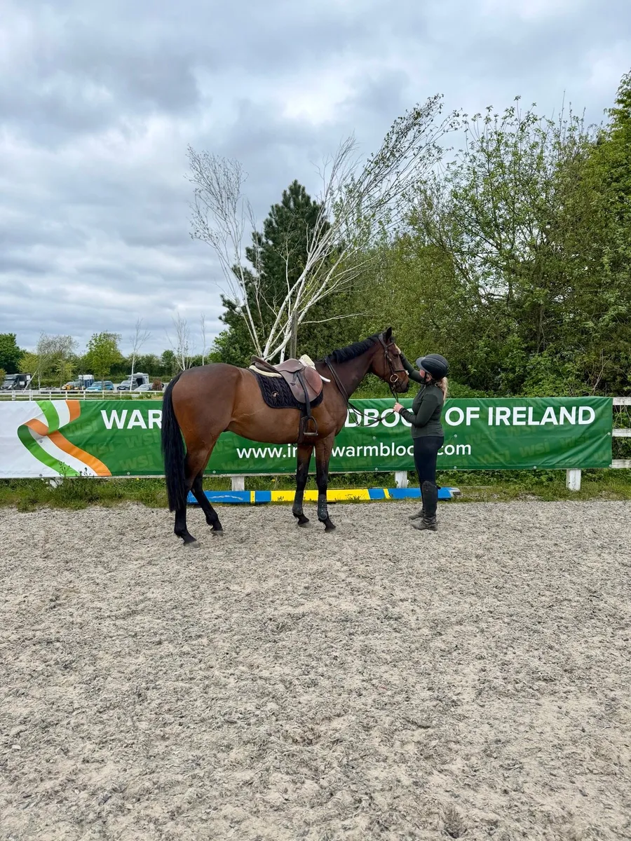 16.2 Quiet allrounder - Image 1