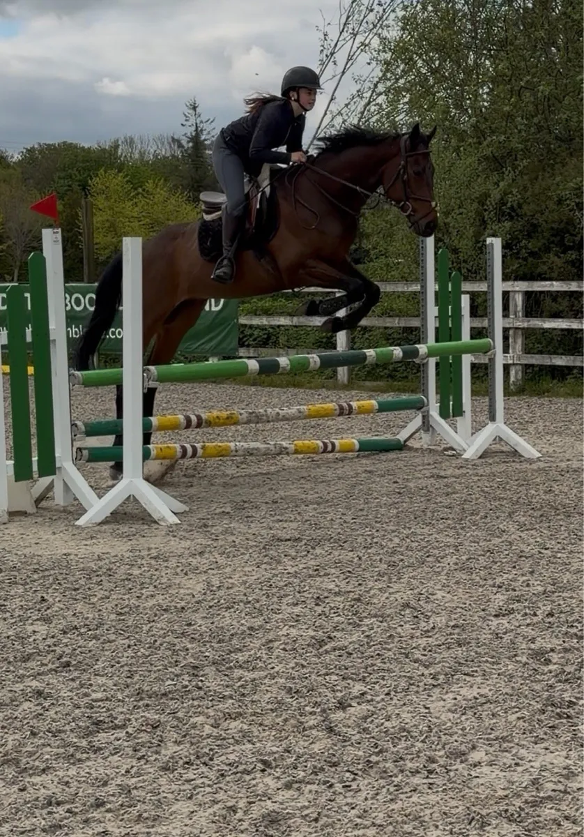 16.2 Quiet allrounder - Image 2