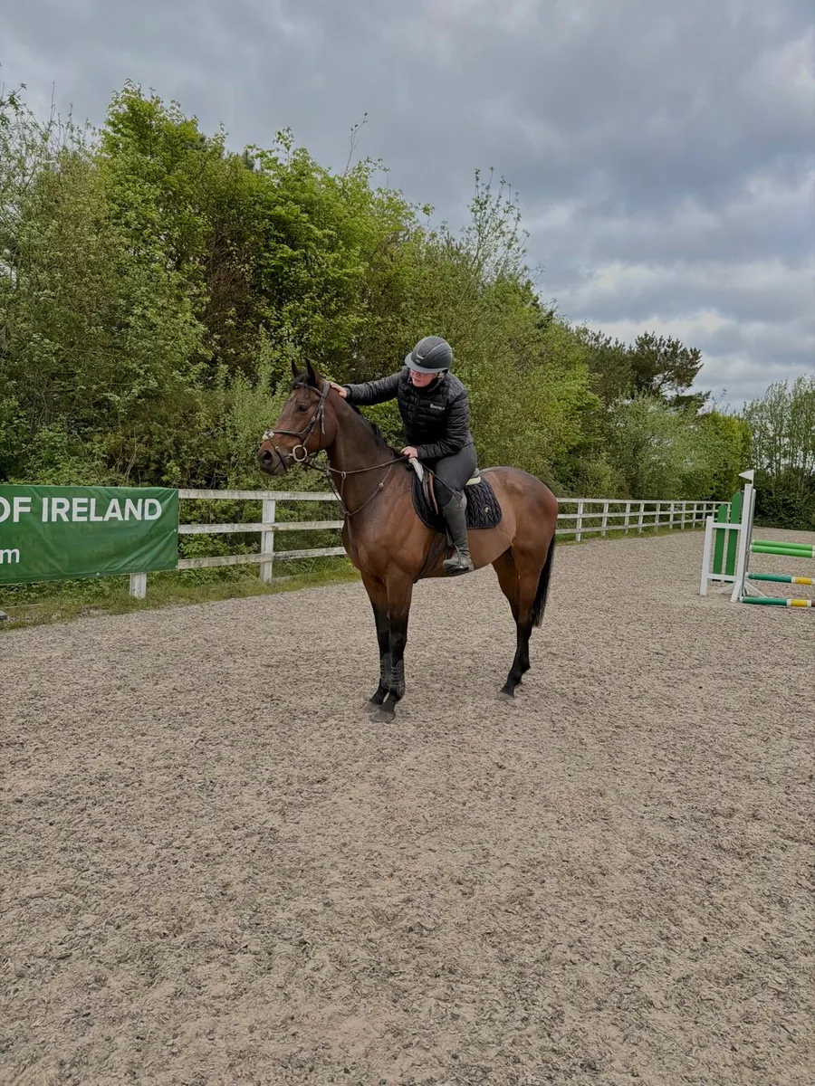 16.2 Quiet allrounder - Image 3