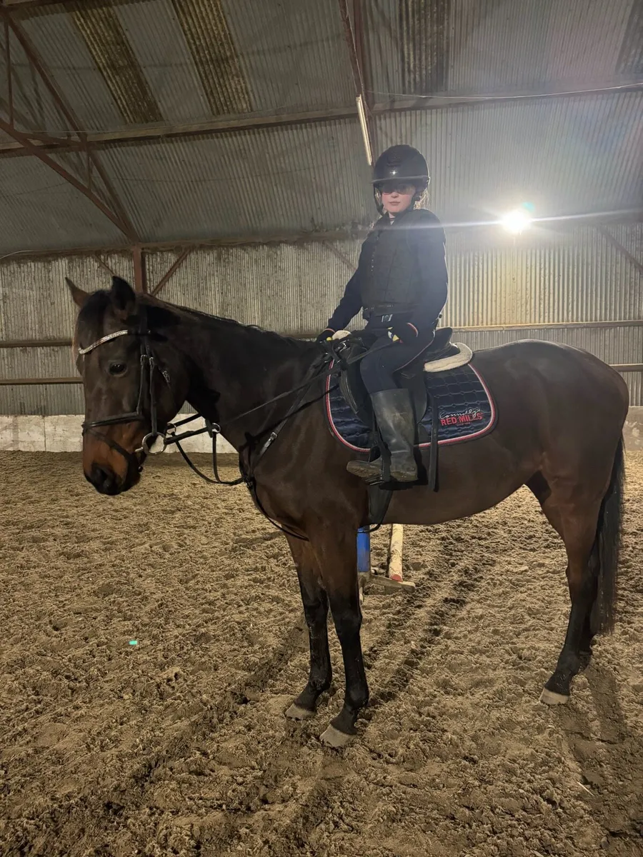 16.2 Quiet allrounder - Image 4